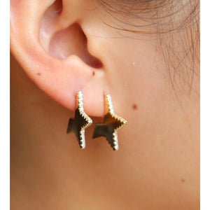 Erin Star Earrings