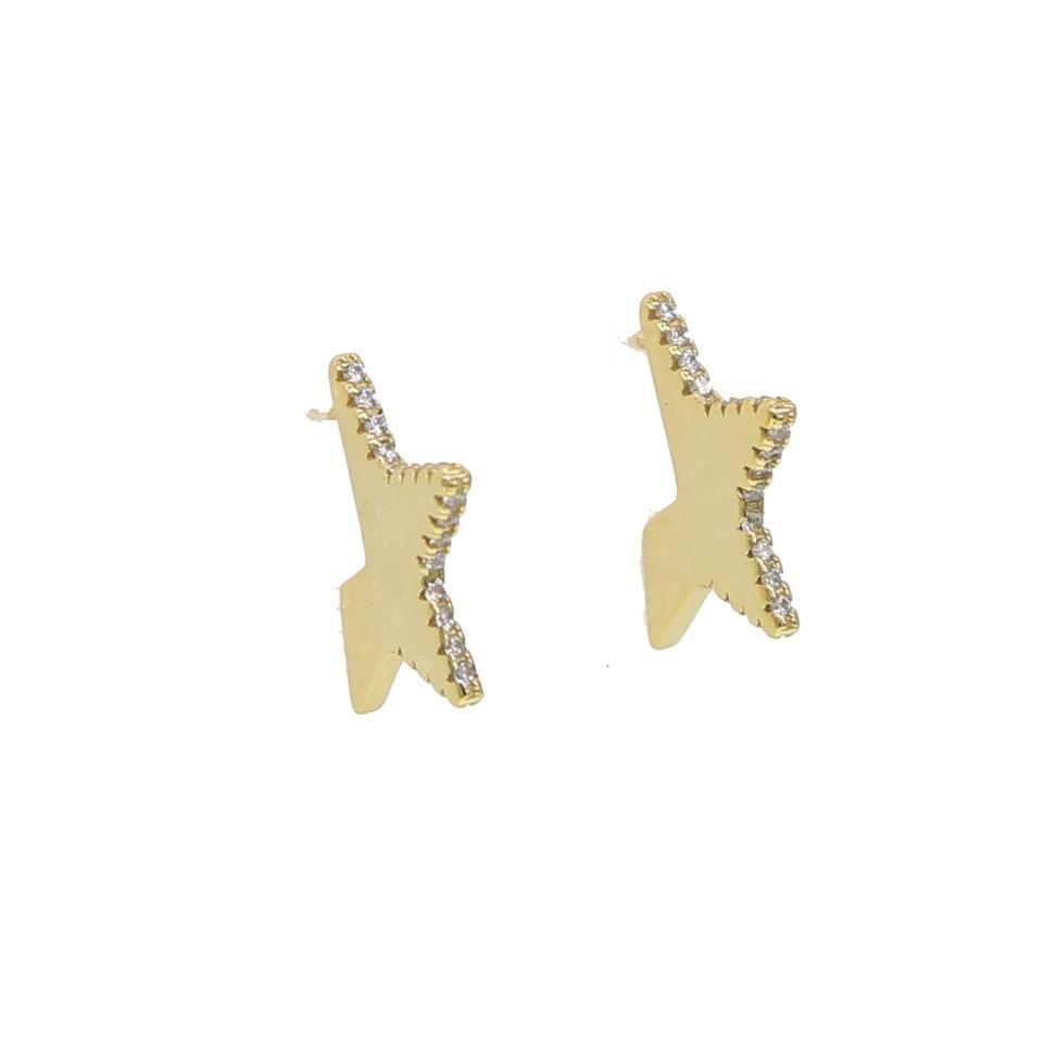 Erin Star Earrings